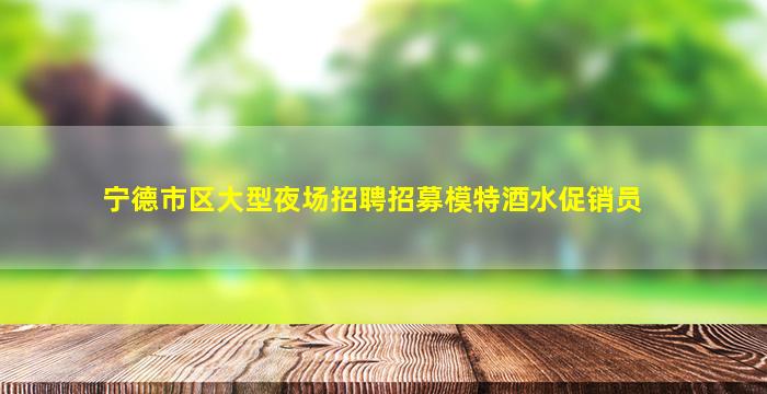 宁德市区大型夜场招聘招募模特酒水促销员